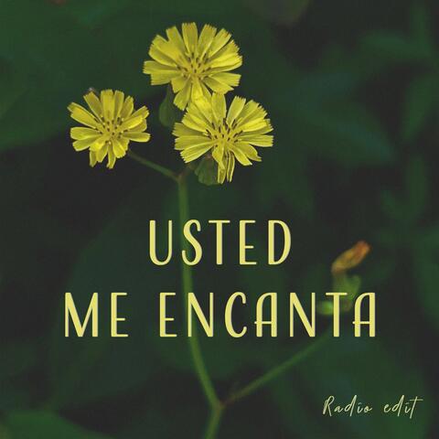 Usted Me Encanta (Radio Edit) album art