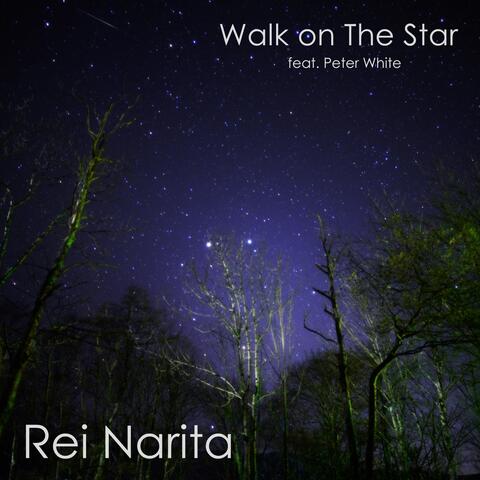 Walk on the Star (feat. Peter White) album art