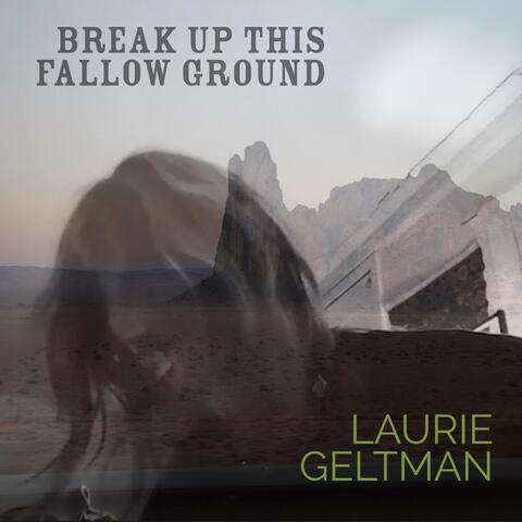 Break Up This Fallow Ground album art