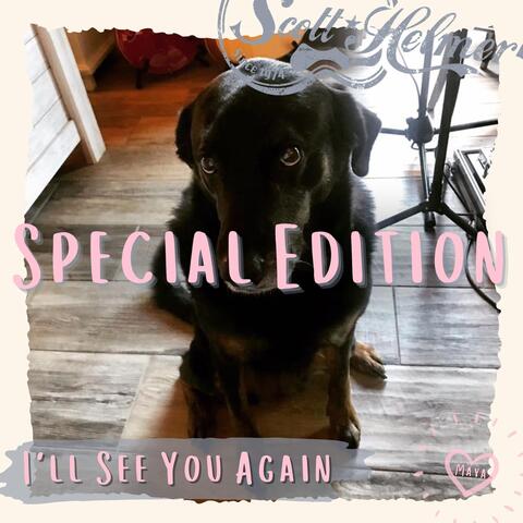 I'll See You Again Special Edition album art