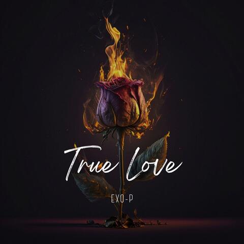 True Love album art