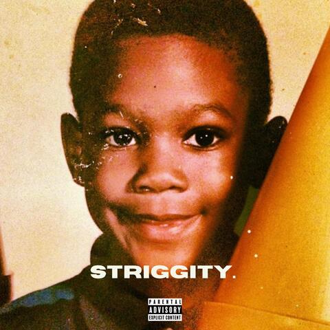 Striggity. album art