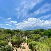 Image of Cielo