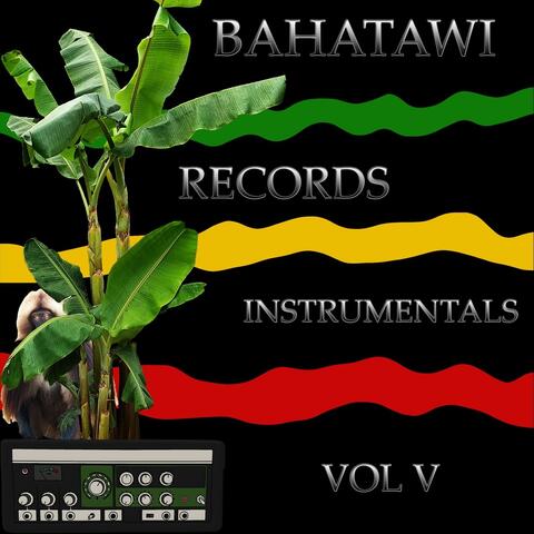 Instrumentals, Vol. V album art