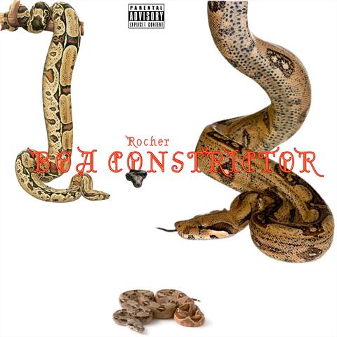 Boa Constrictor album art