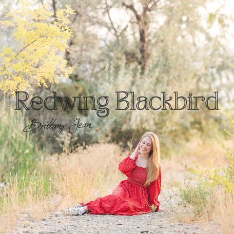 Redwing Blackbird album art