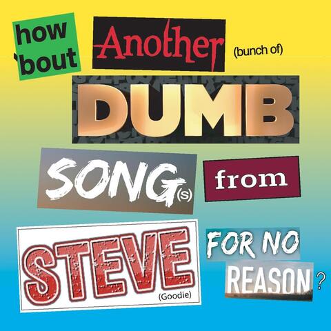 How 'Bout Another (Bunch Of) Dumb Song(s) From Steve For No Reason? album art