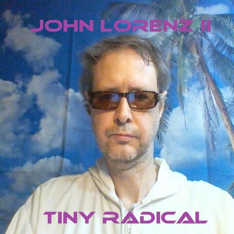 Tiny Radical album art