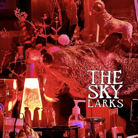 Last Grass album art