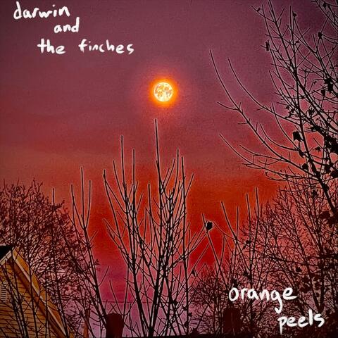 orange peels album art