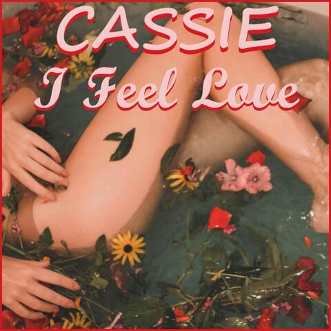 I Feel Love album art