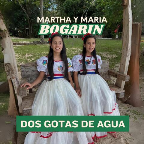 Dos Gotas De Agua album art