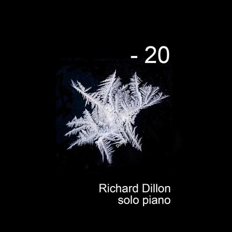 - 20 (feat. Neil Patton) album art