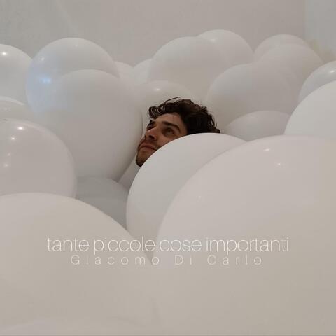 Tante Piccole Cose Importanti album art