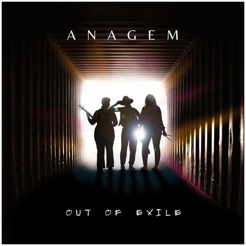 Out of Exile album art