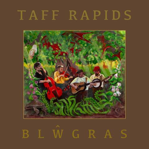 Blŵgras album art