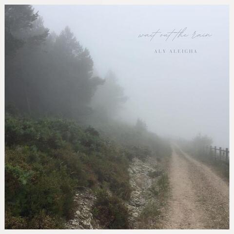 Wait Out The Rain album art