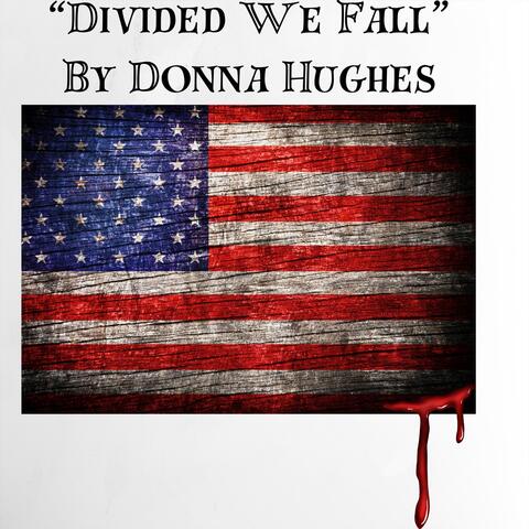 Divided We Fall album art