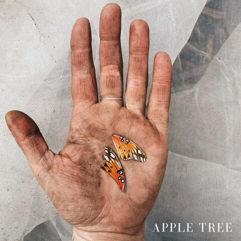 Apple Tree album art