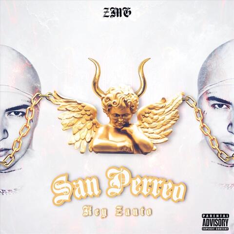 San Perreo album art