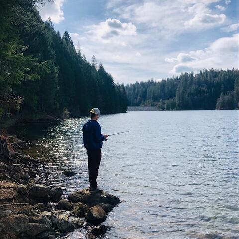 Pinecrest album art