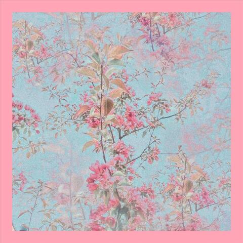 Violet album art