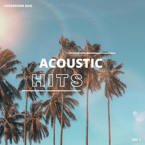 Acoustic Hits, Vol. 1 album art