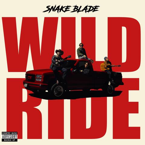 WILD RIDE album art