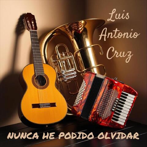 Nunca He Podido Olvidar album art