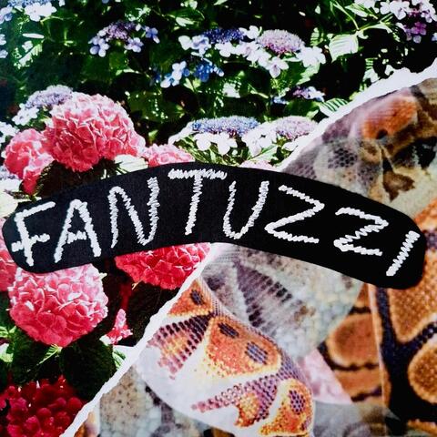 Snakes album art