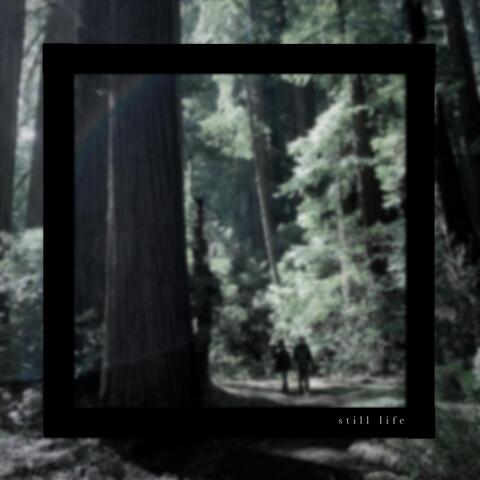 introducing album art