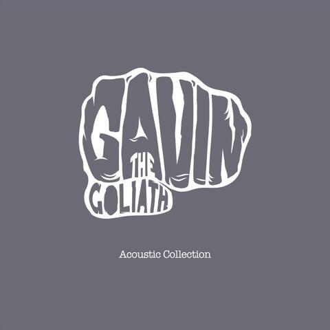 Acoustic Collection album art