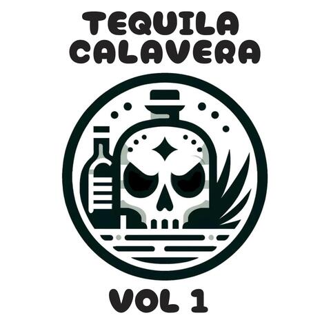 Vol 1 album art