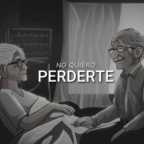 No Quiero Perderte Vol 2 album art