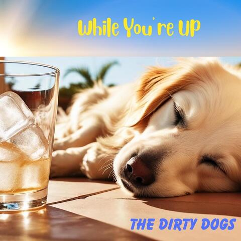 While You're Up album art
