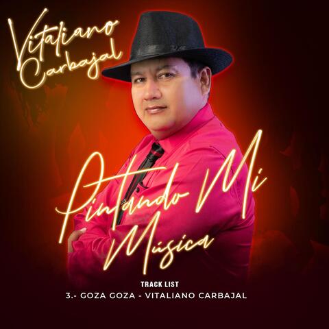 Goza Goza album art