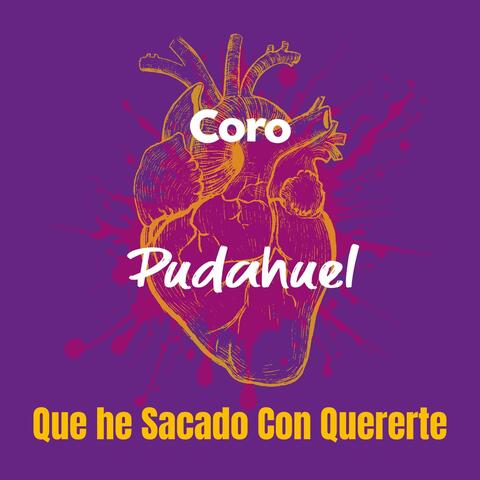 Que He Sacado Con Quererte album art