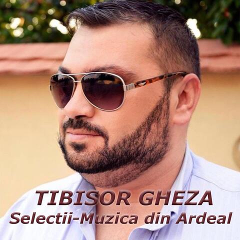 Selectii Muzica Din Ardeal album art