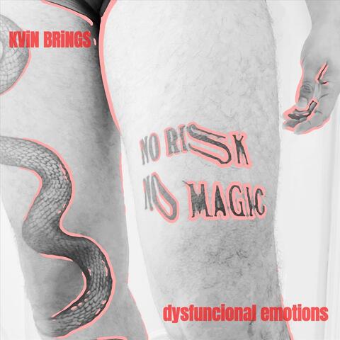 dysfuctional emotions album art