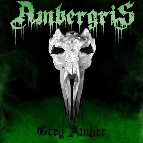 Grey Amber album art