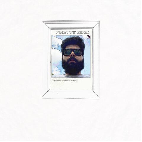 Pretty Bird album art