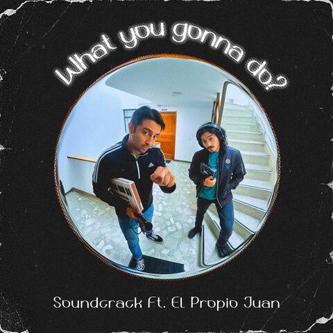 What You Gonna Do? album art