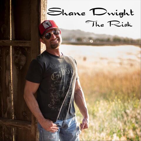 The Risk album art