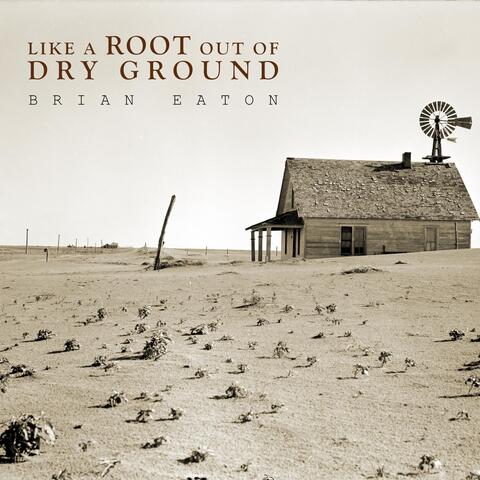 Like a Root out of Dry Ground album art