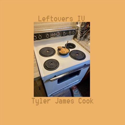 Leftovers IV album art