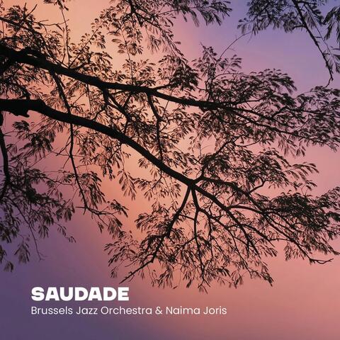 Saudade album art