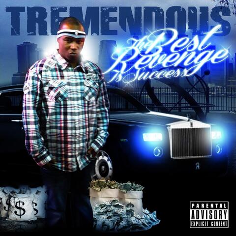 The Best Revenge Is Success album art