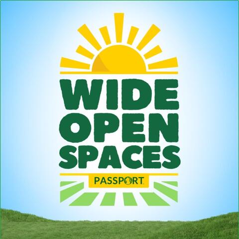Wide Open Spaces album art