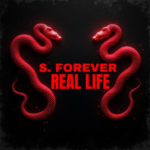 Real Life album art