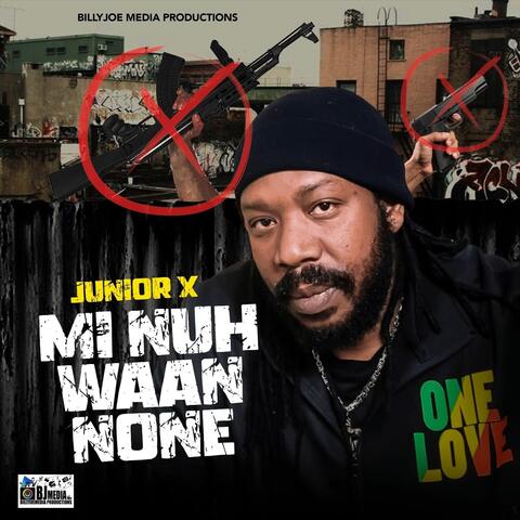 Mi Nuh Waan None album art